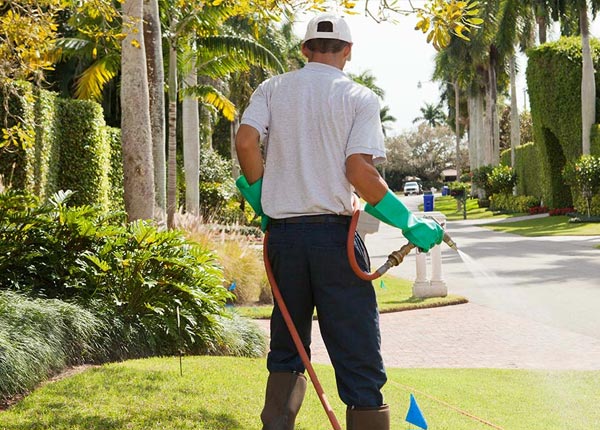 About Blanchard PA Pest Control